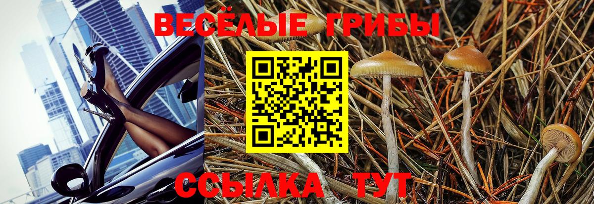 Псилоцибиновые грибы Magic Shrooms  Вход с VPN  Луховицы  где найти наркотики  Псилоцибиновые грибы GOLDEN TEACHER 