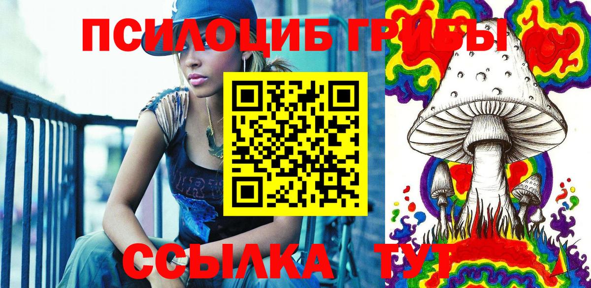 Псилоцибиновые грибы Cubensis Луховицы